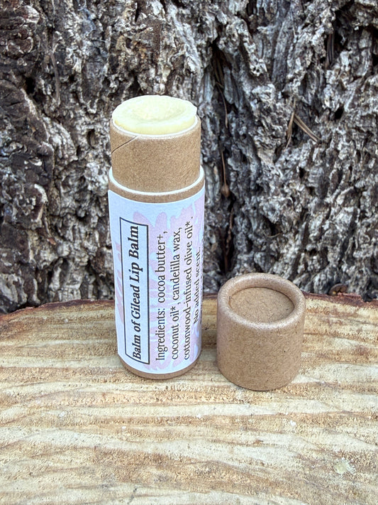 Lip Balm